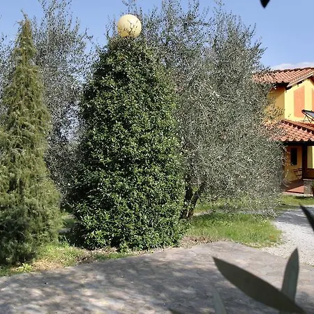 La Cuccuini *
